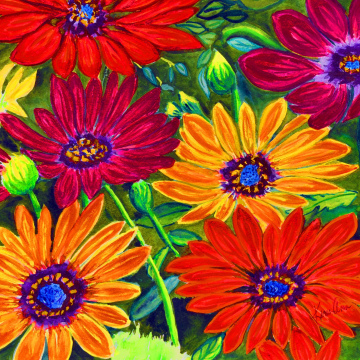 Summer Daisies