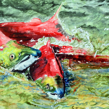 Spawning Season